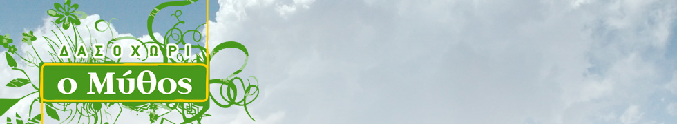 header (1).jpg